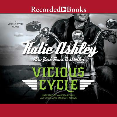 Vicious Cycle Audiobook, by Katie Ashley