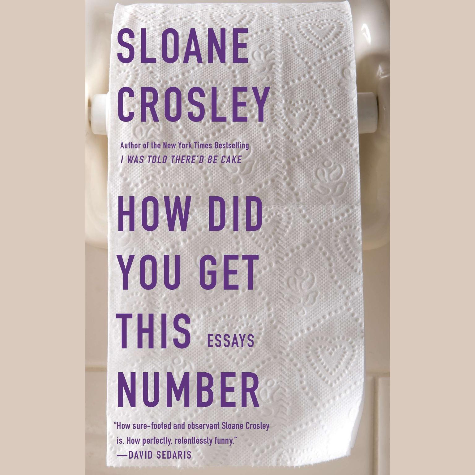 How Did You Get This Number Audiobook, by Sloane Crosley