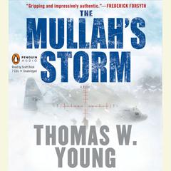 The Mullah's Storm Audiobook, by Tom Young