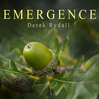 Emergence: Seven Steps for Radical Life Change Audiobook, by Derek Rydall