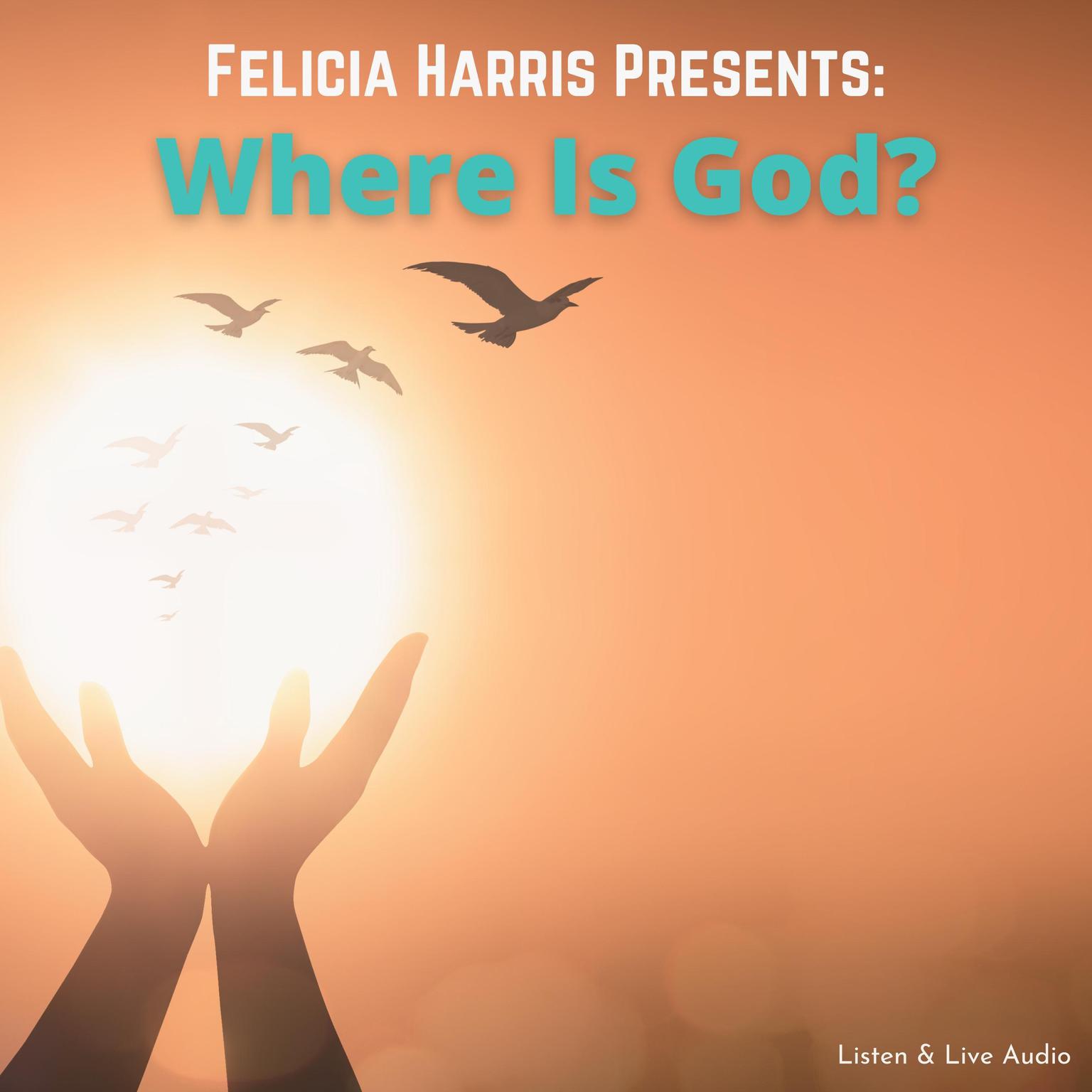 Felicia Harris Presents: Where Is God? Audiobook, by Felicia Harris