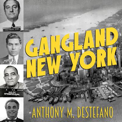 Gangland New York: The Places and Faces of Mob History Audiobook, by Anthony M. DeStefano