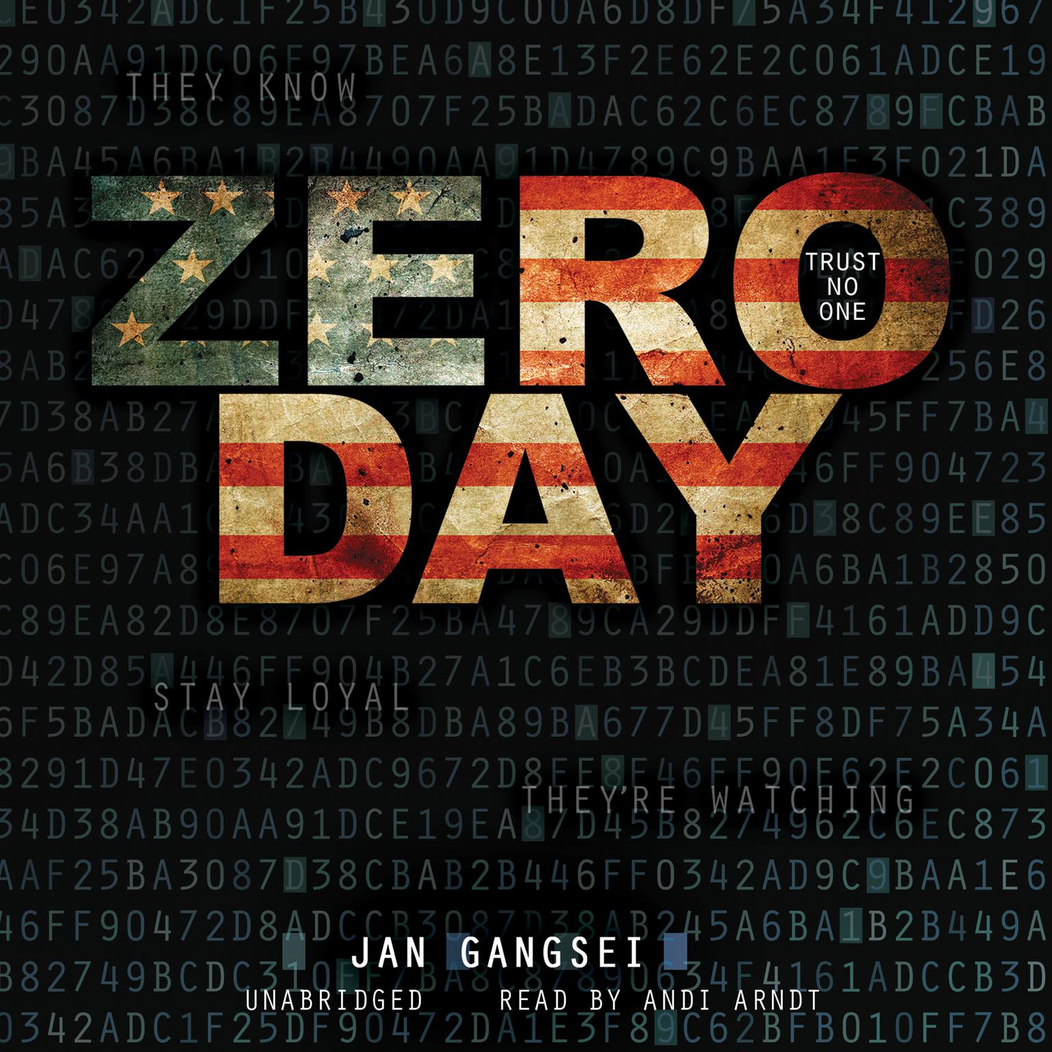 Zero Day Audiobook, by Jan Gangsei