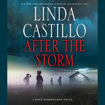 After the Storm: A Kate Burkholder Novel Audiobook, by Linda Castillo