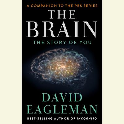 The Brain: The Story of You Audiobook, by 