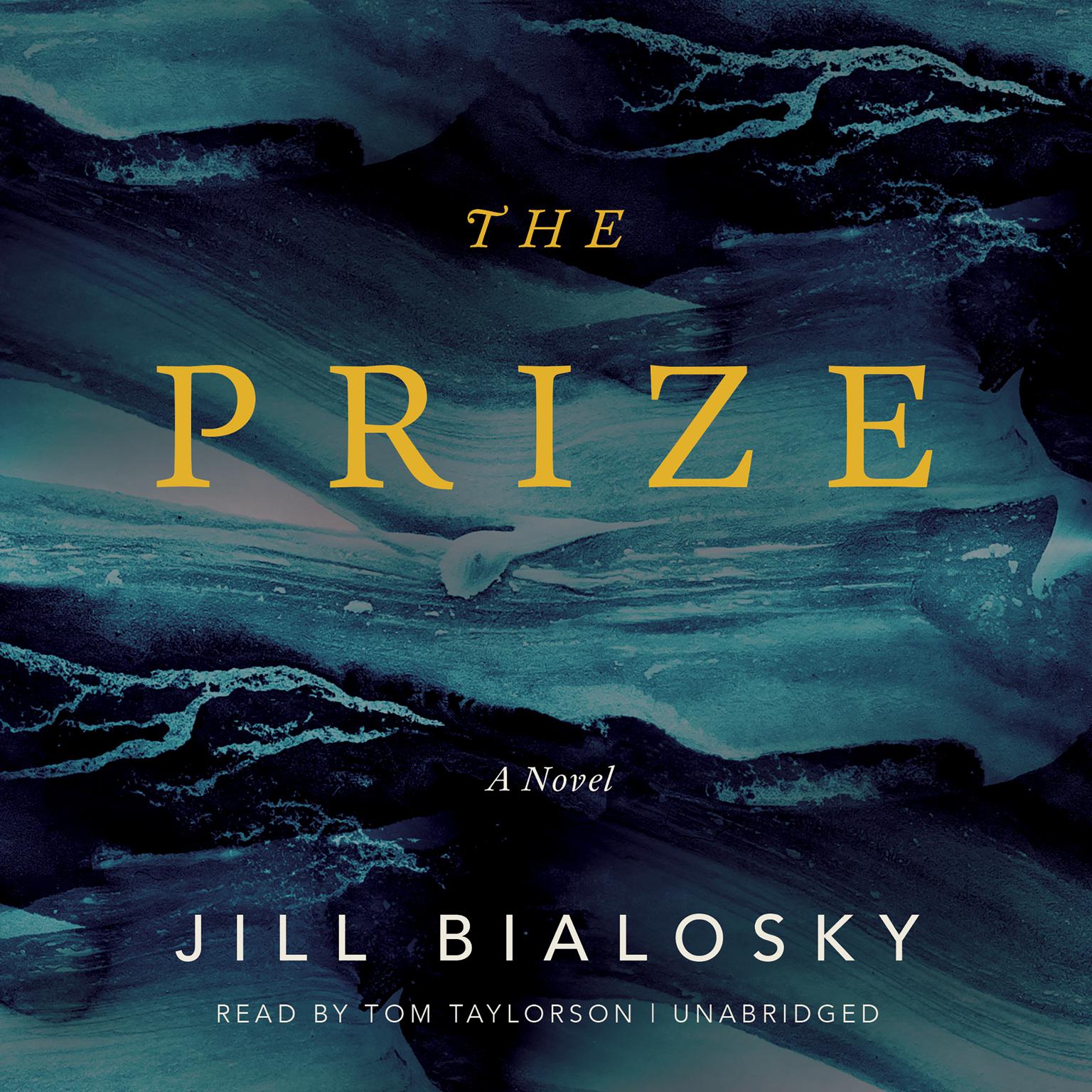 The Prize: A Novel Audiobook, by Jill Bialosky
