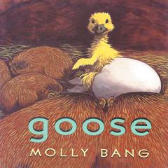 Goose Audiobook, by Molly Bang