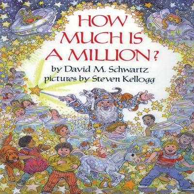 How Much Is a Million? Audiobook, by David M. Schwartz