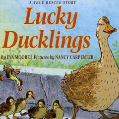 Lucky Ducklings Audiobook, by Eva Moore