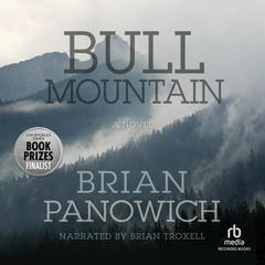 Bull Mountain Audiobook, by Brian Panowich
