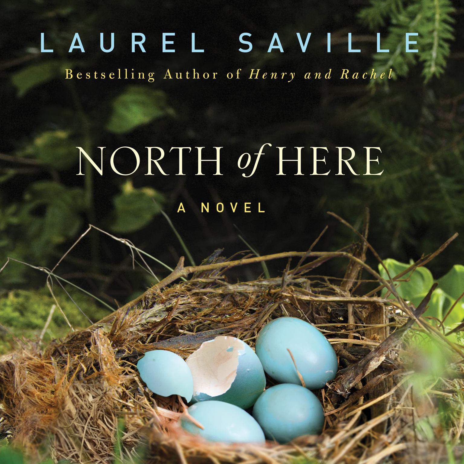 North of Here Audiobook, by Laurel Saville