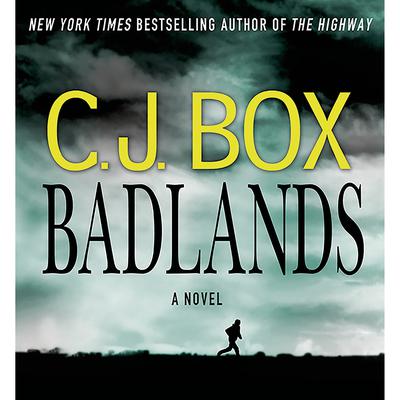 Badlands: A Cassie Dewell Novel Audiobook, by 