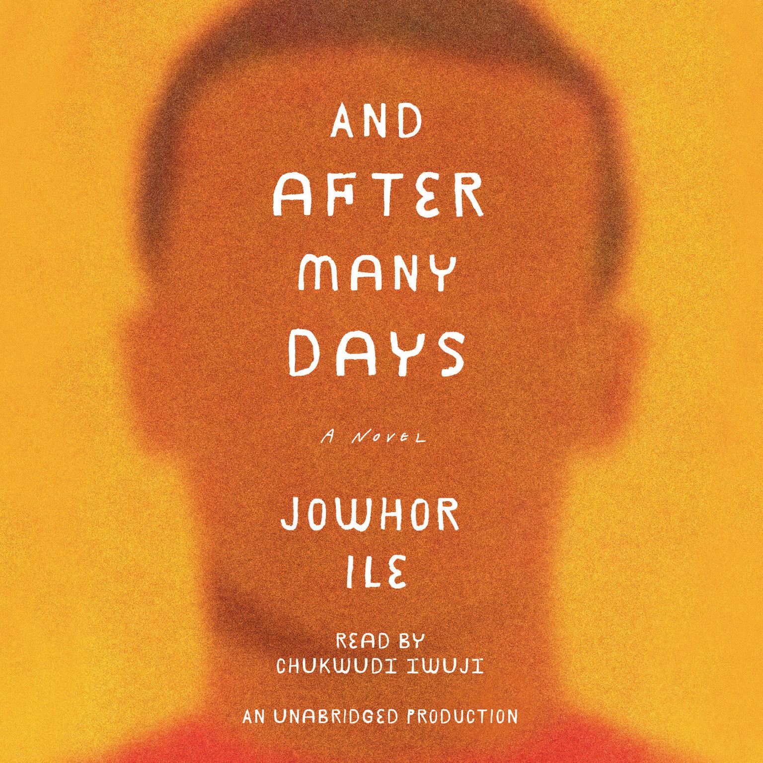 And After Many Days: A Novel Audiobook, by Jowhor Ile
