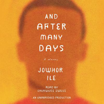 And After Many Days: A Novel Audiobook, by 