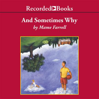 And Sometimes Why Audiobook, by Mame Farrell