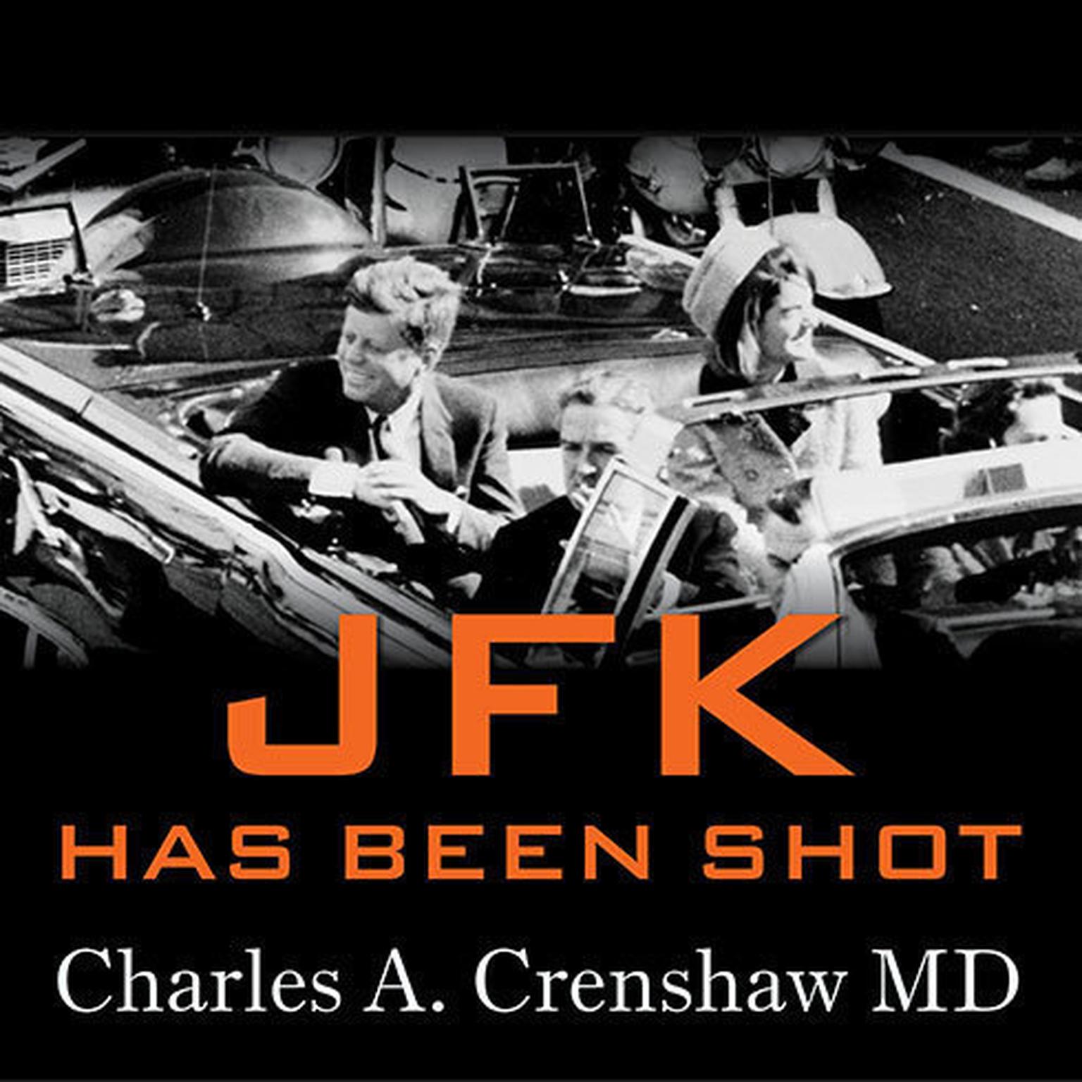 JFK Has Been Shot Audiobook