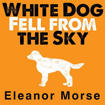 White Dog Fell from the Sky Audiobook, by Eleanor Morse