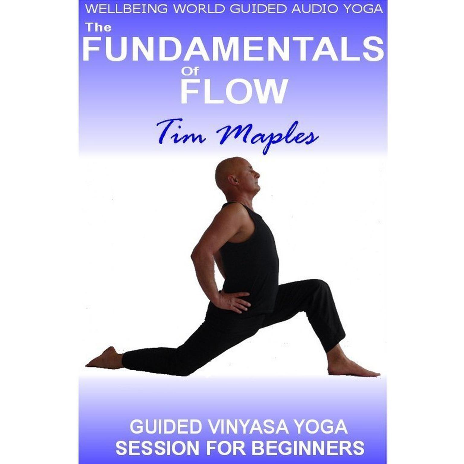 The Fundamentals of Flow Audiobook, by Tim Maples