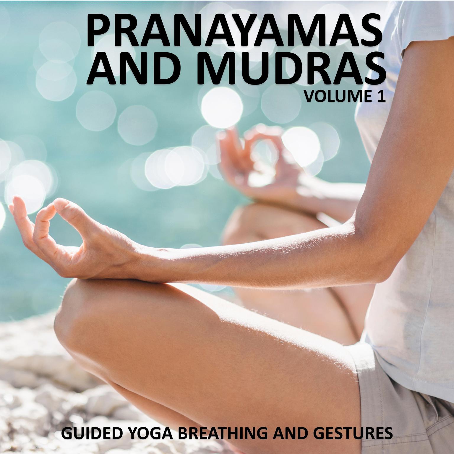 Pranayamas and Mudras Vol 1 Audiobook, by Sue Fuller