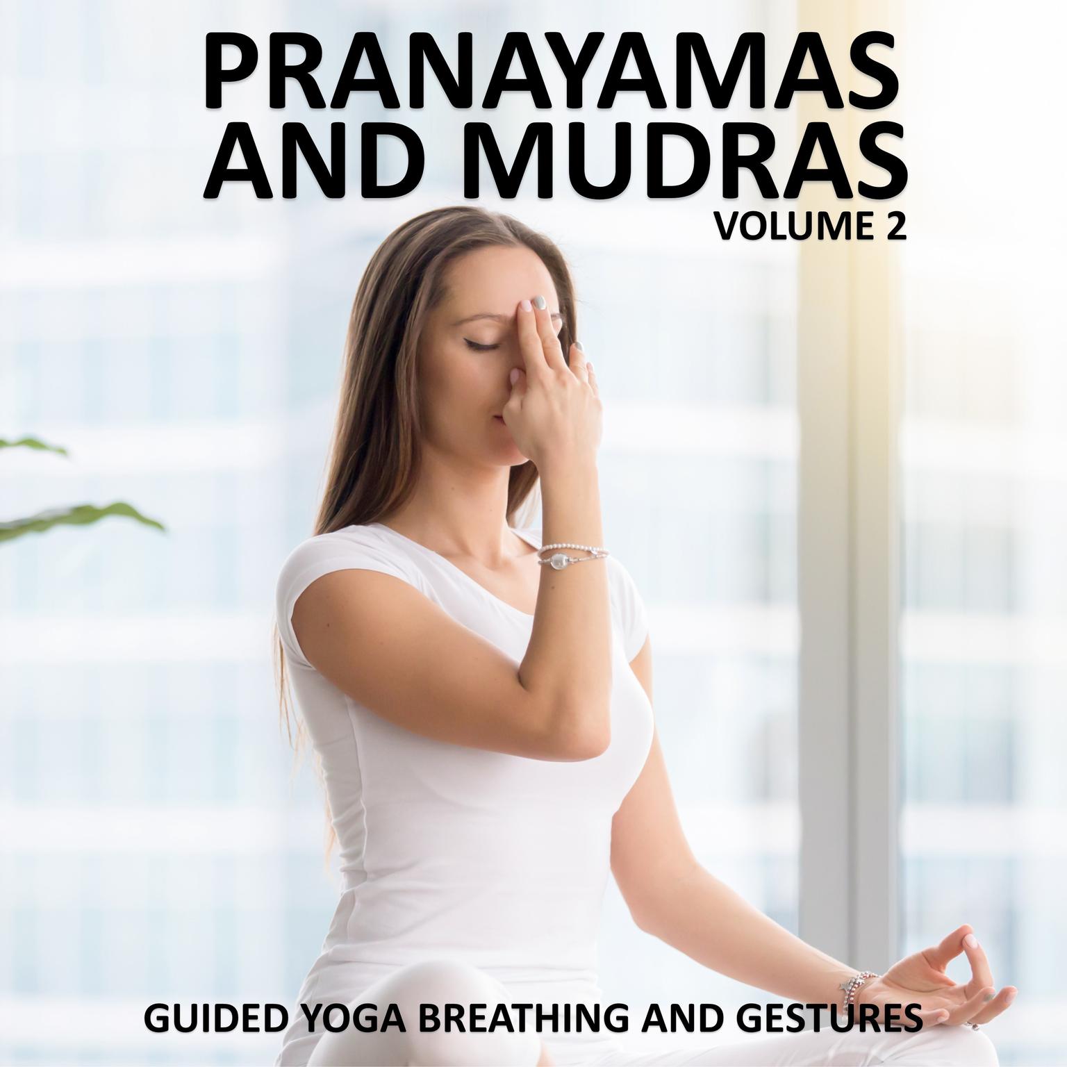 Pranayamas and Mudras Vol 2 Audiobook, by Sue Fuller