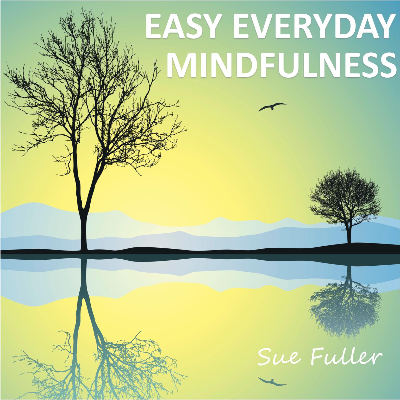 Easy Everyday Mindfulness Audiobook, by Sue Fuller