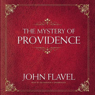 The Mystery of Providence Audiobook, by John Flavel