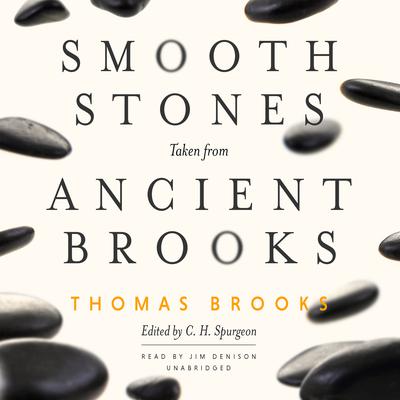 Smooth Stones Taken from Ancient Brooks Audiobook, by Thomas Brooks
