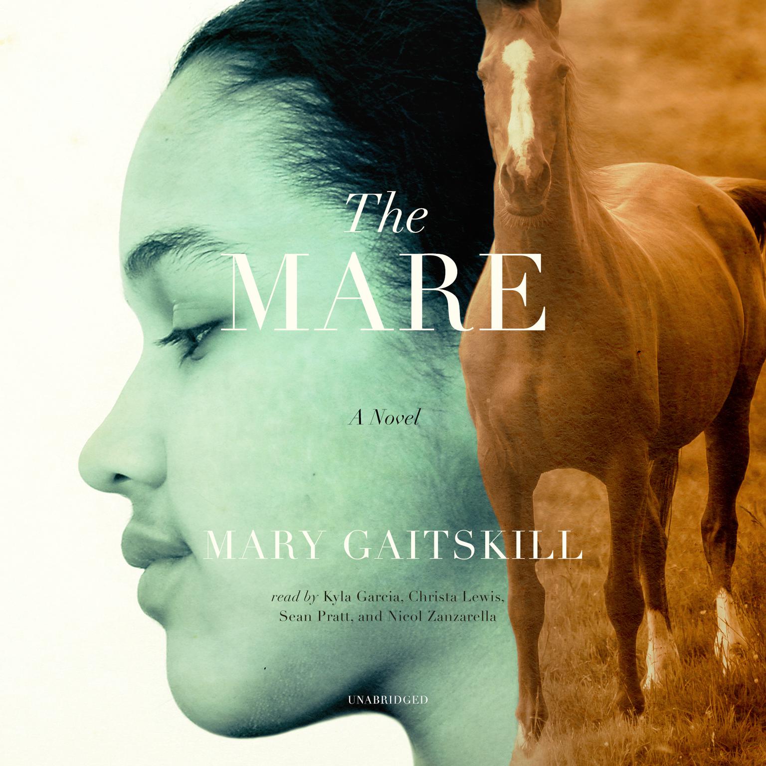 The Mare Audiobook, by Mary Gaitskill