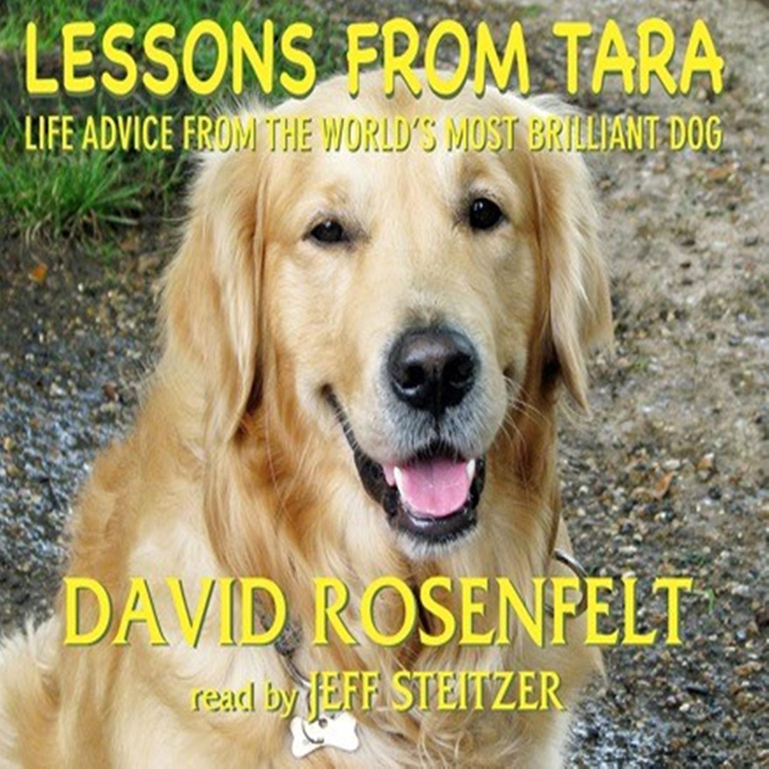 Lessons from Tara: Life Advice from the World’s Most Brilliant Dog Audiobook, by David Rosenfelt