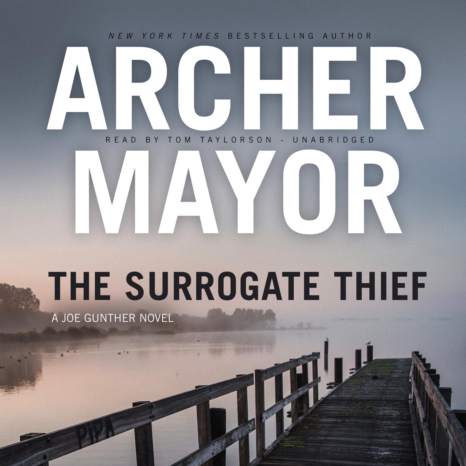 The Surrogate Thief Audiobook, by Archer Mayor