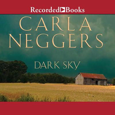 Dark Sky Audiobook, by Carla Neggers