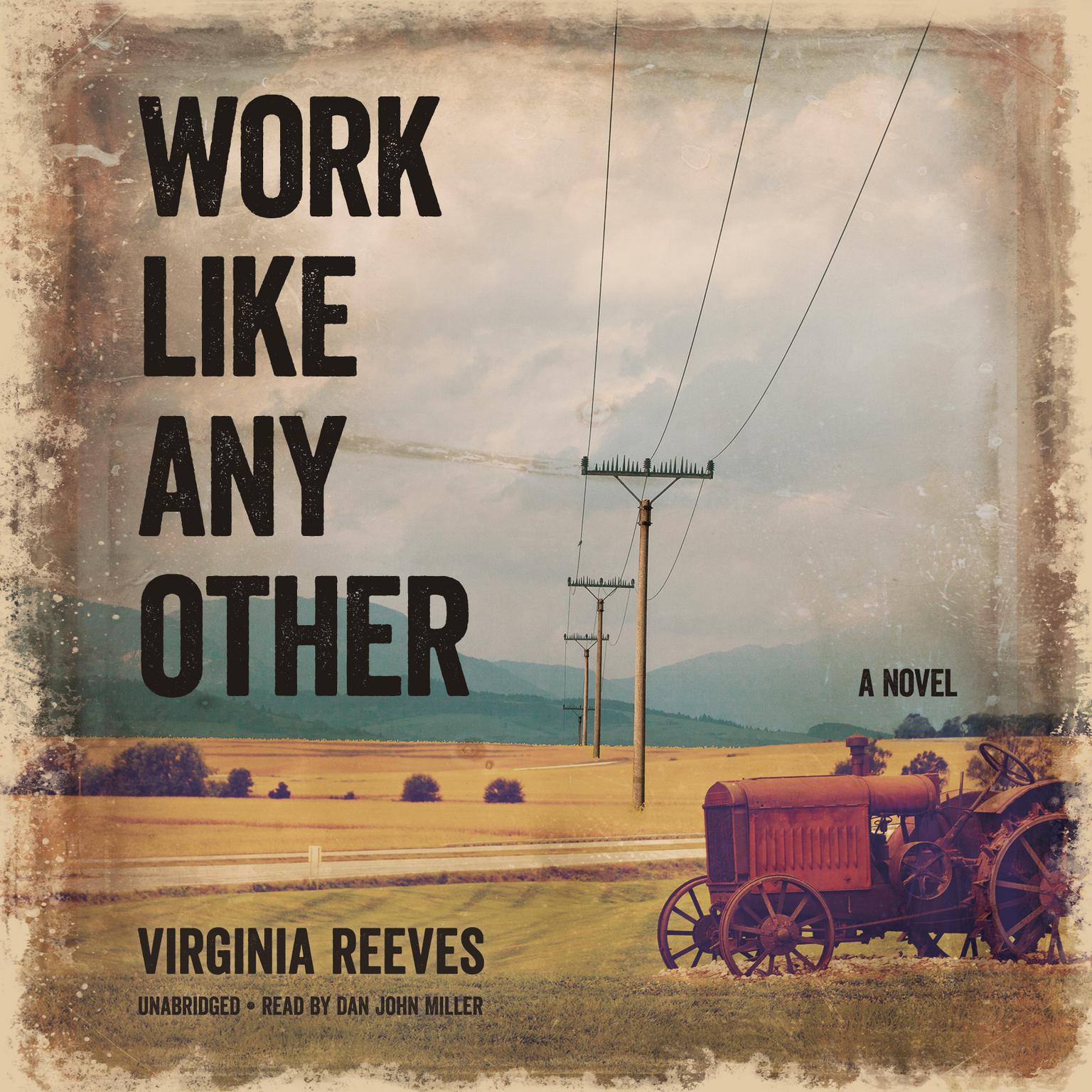 Work like Any Other: A Novel Audiobook, by Virginia Reeves