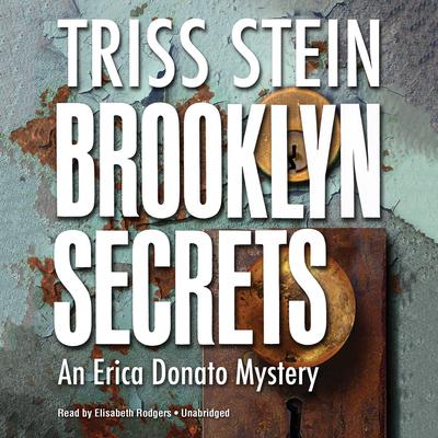 Brooklyn Secrets: An Erica Donato Mystery Audiobook, by Triss Stein