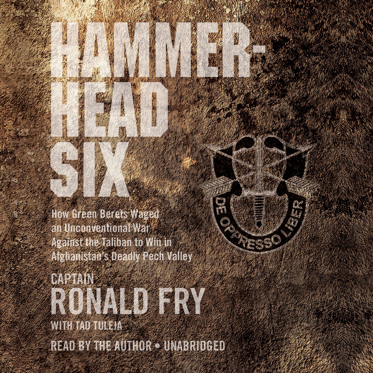 Hammerhead Six: How Green Berets Waged an Unconventional War Against the Taliban to Win in Afghanistans Deadly Pech Valley Audiobook, by Ronald Fry