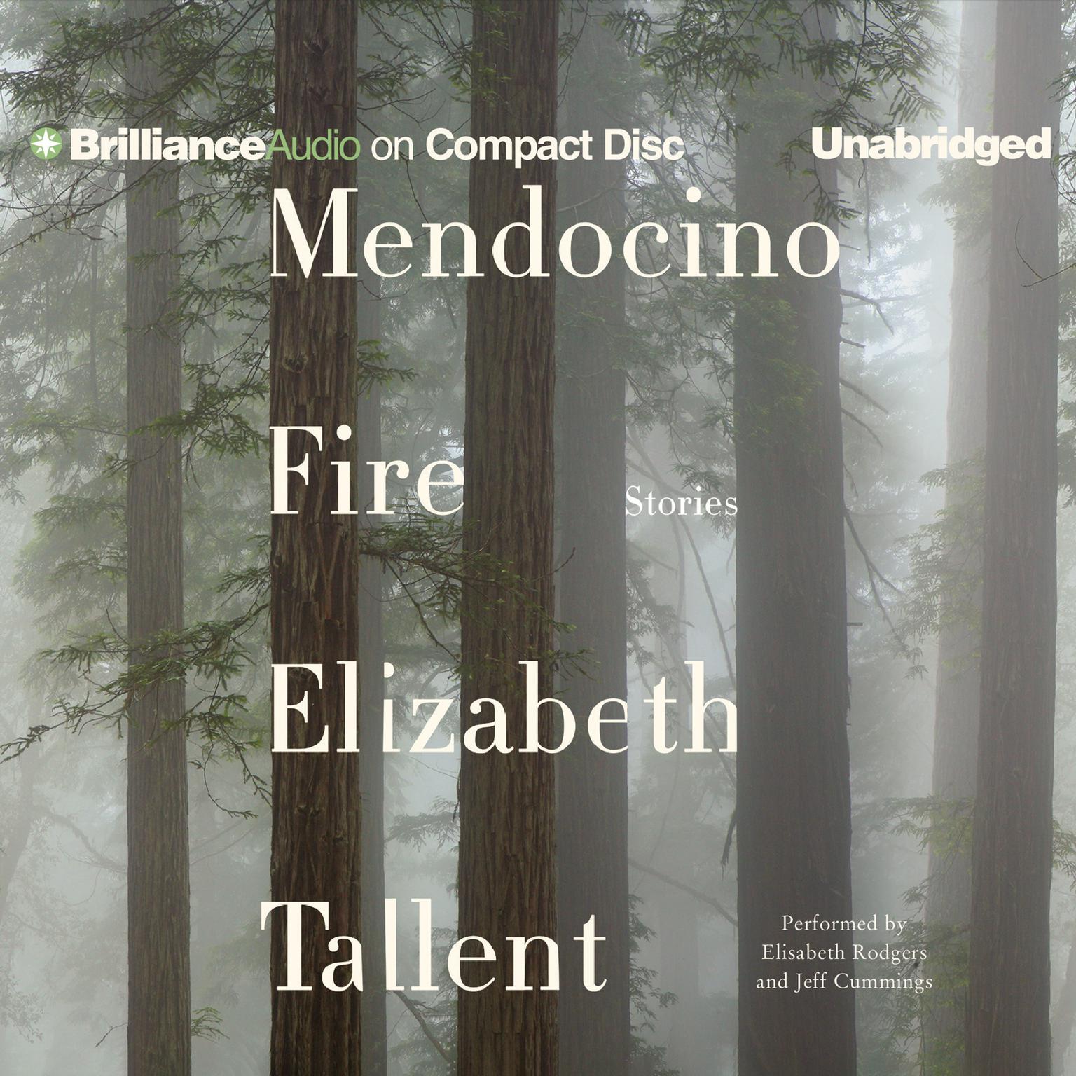 Mendocino Fire: Stories Audiobook, by Elizabeth Tallent