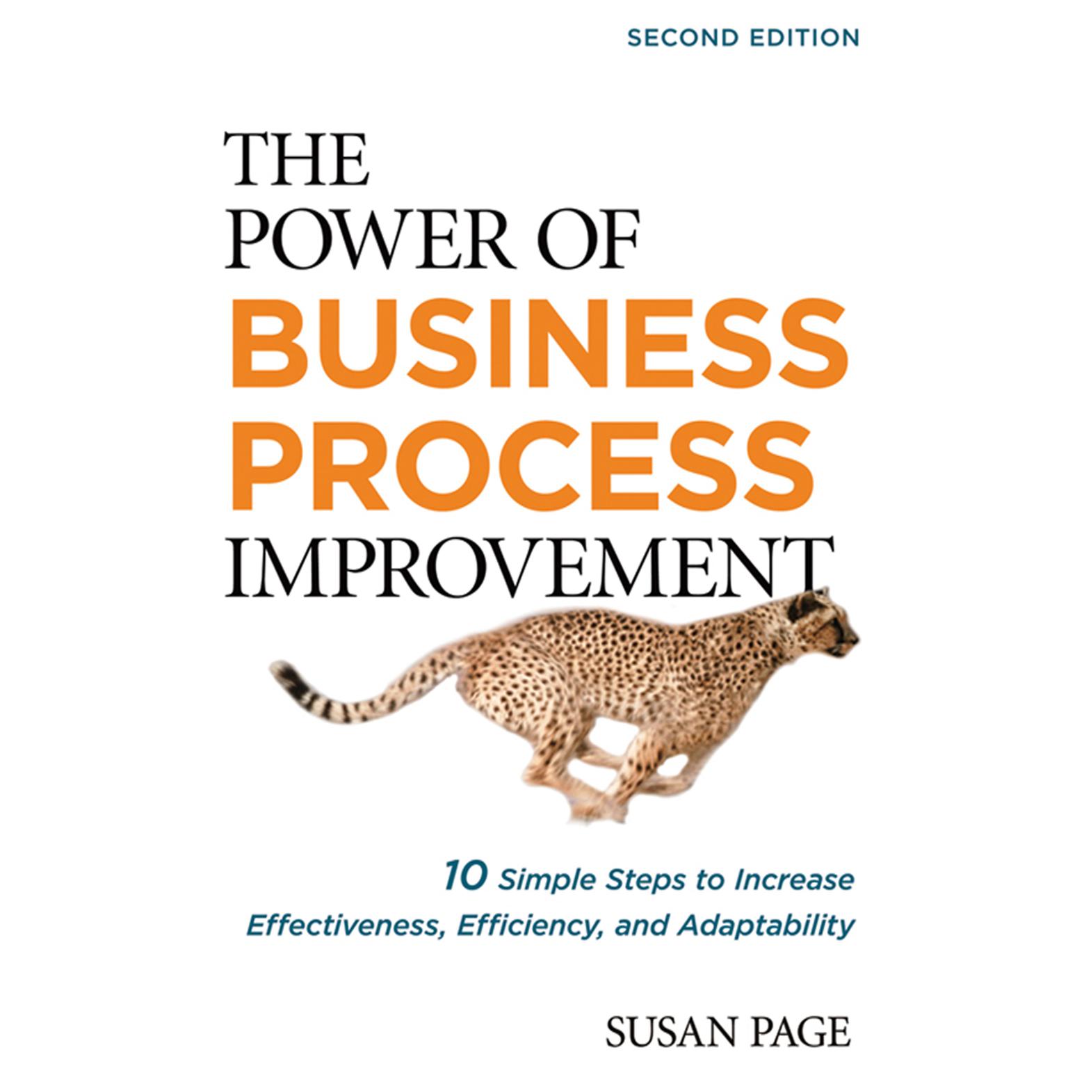The Power of Business Process Improvement 2nd Edition: 10 Simple Steps to Increase Effectiveness, Efficiency, and Adaptability Audiobook, by Susan Page