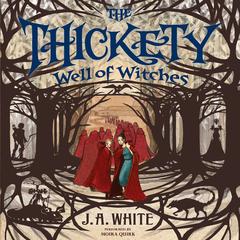 The Thickety #3: Well of Witches Audiobook, by J. A. White