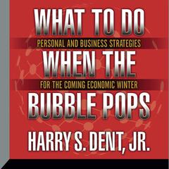 What to Do When the Bubble Pops: Personal and Business Strategies for the Coming Economic Winter Audiobook, by Harry S. Dent