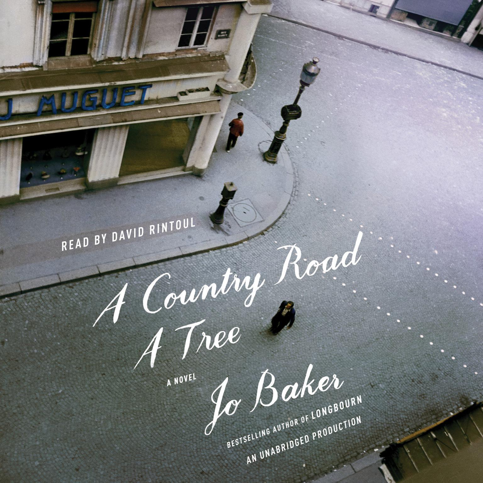 A Country Road, A Tree: A Novel Audiobook, by Jo Baker