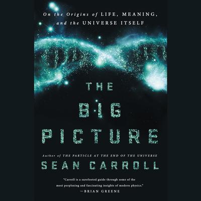 The Big Picture: On the Origins of Life, Meaning, and the Universe Itself Audiobook, by Sean Carroll
