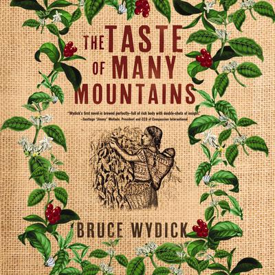 The Taste of Many Mountains Audiobook, by Bruce Wydick