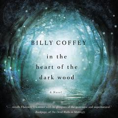 In the Heart of the Dark Wood Audiobook, by Billy Coffey