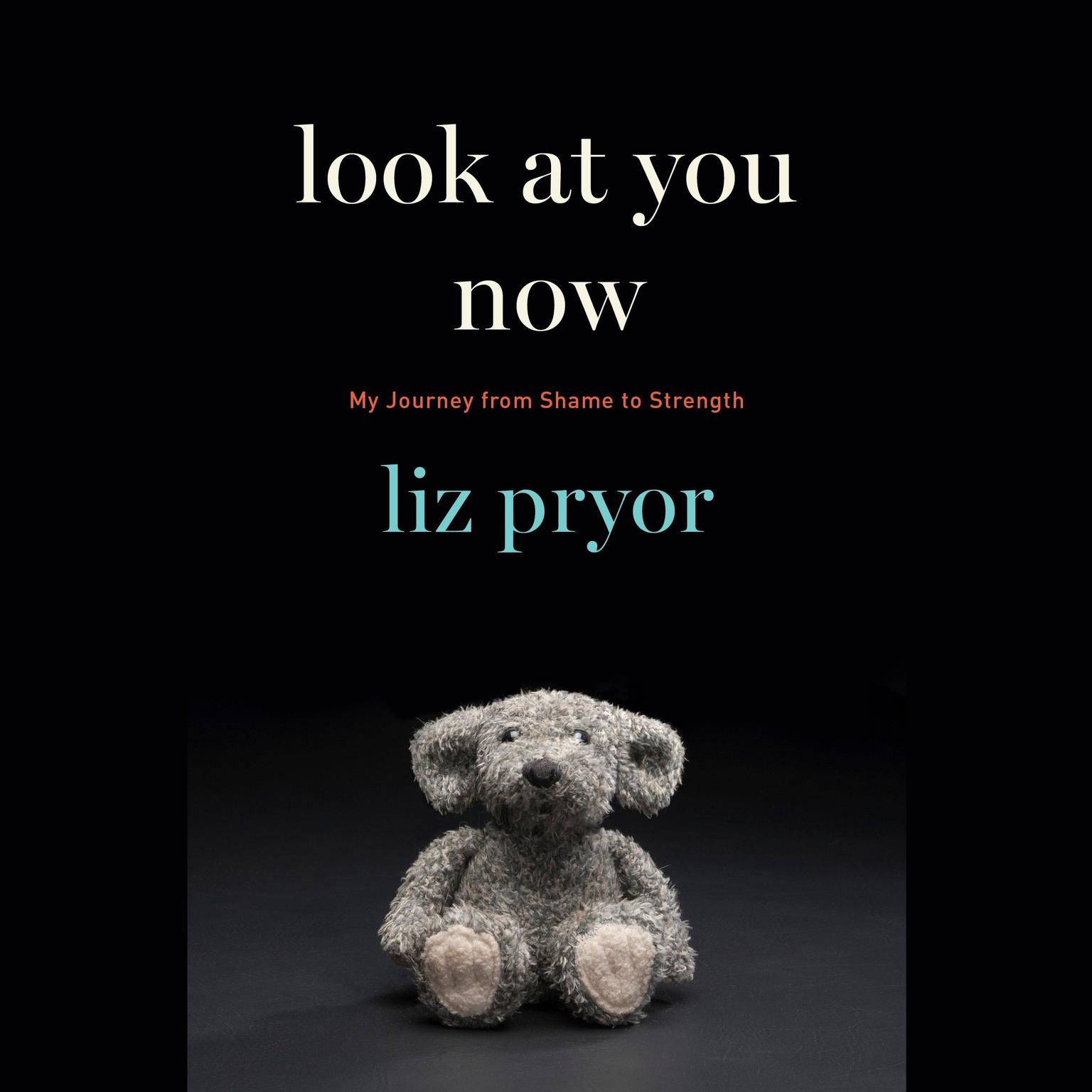 Look at You Now: My Journey from Shame to Strength Audiobook, by Liz Pryor