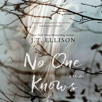 No One Knows Audiobook, by 