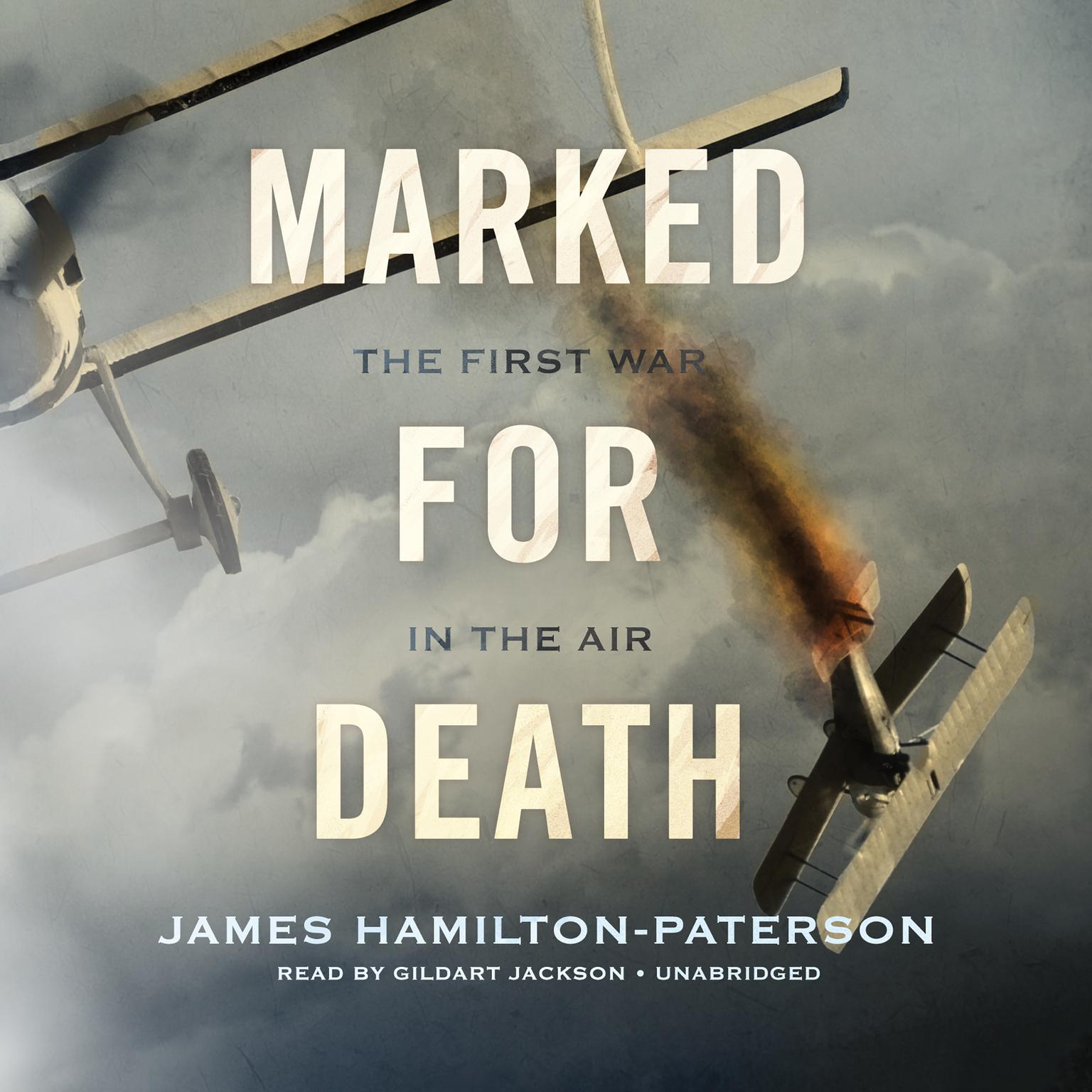 Marked for Death: The First War in the Air Audiobook, by James Hamilton-Paterson