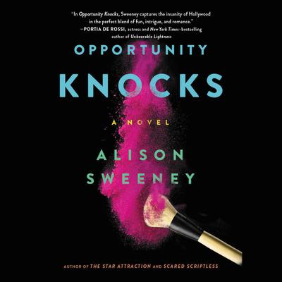 Opportunity Knocks: A Novel Audiobook, by Alison Sweeney