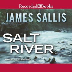 Salt River Audiobook, by James Sallis