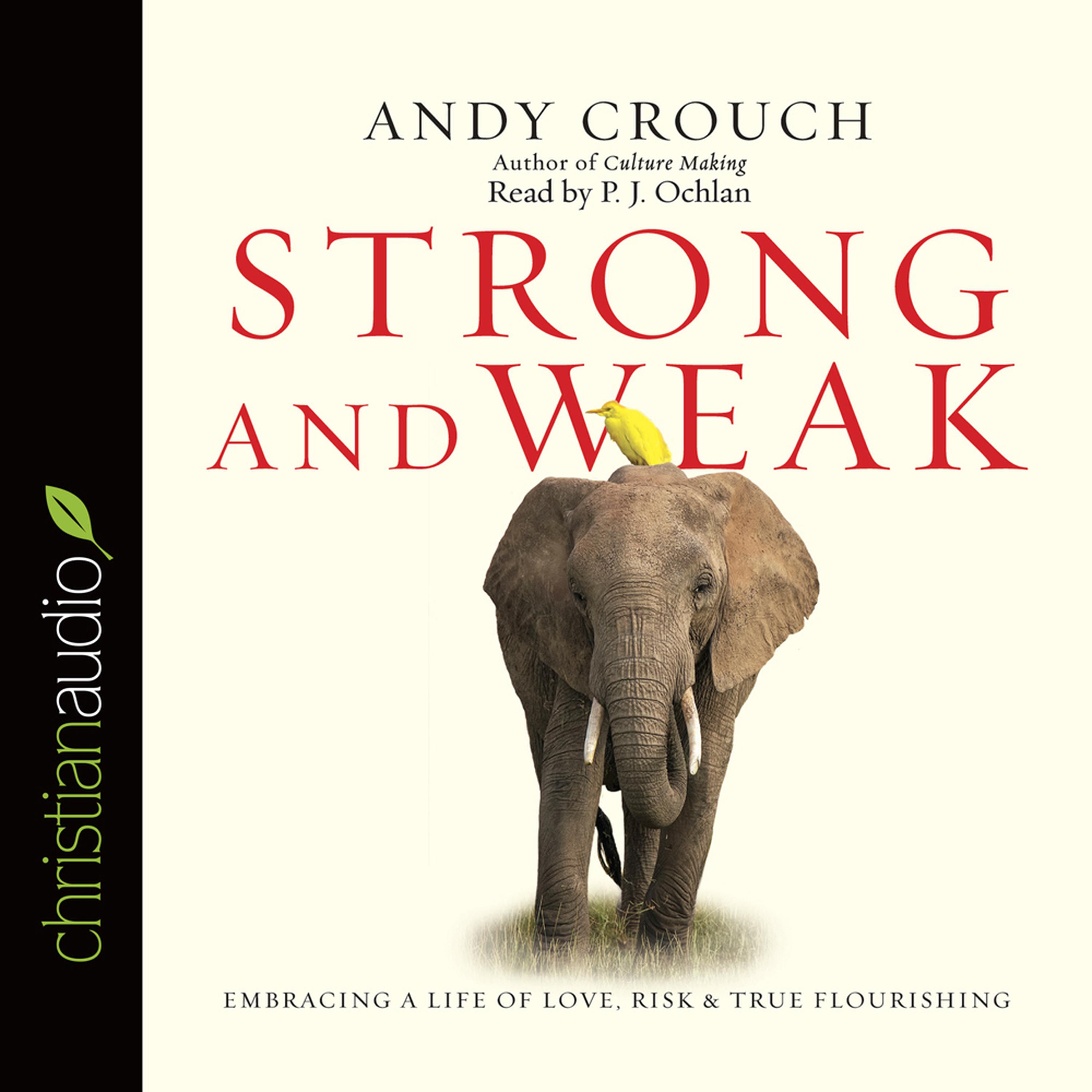 strong-and-weak-audiobook-by-andy-crouch-download-now