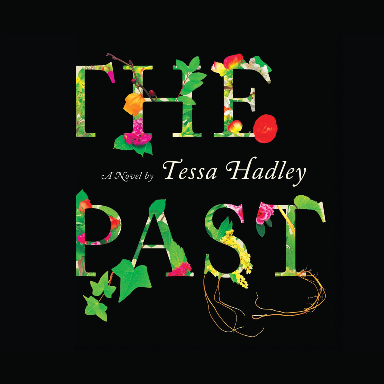 The Past: A Novel Audiobook, by Tessa Hadley