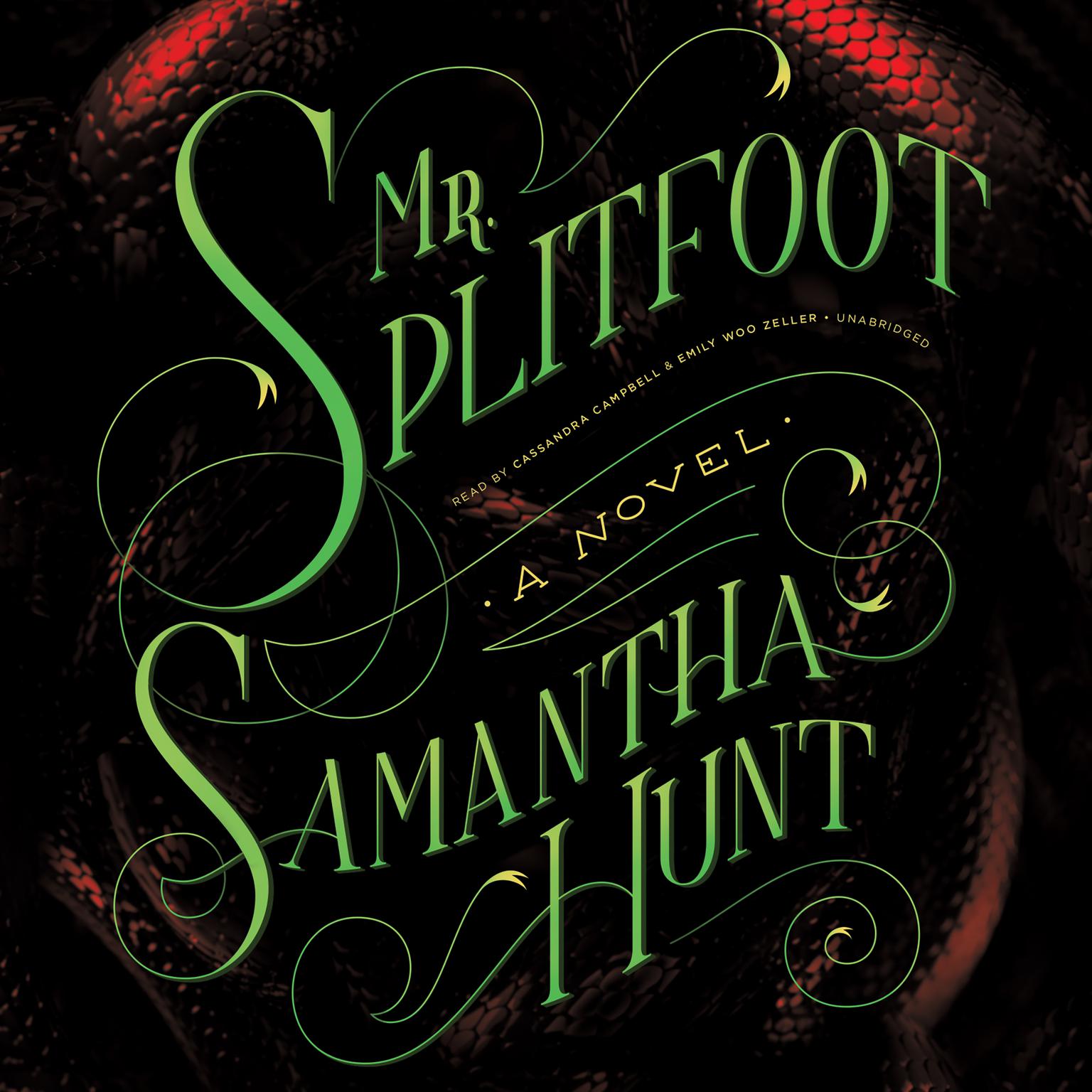 Mr. Splitfoot Audiobook by Samantha Hunt — Download Now